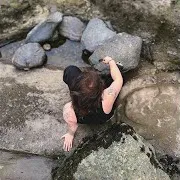 Собака Що Кричить